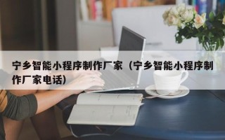 保定宁乡智能小程序制作厂家（宁乡智能小程序制作厂家电话）