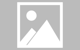 保定网站建设许昌论坛（许昌网站seo）
